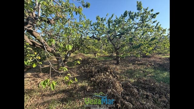 Ubebygd land til salgs i Almuñécar - € 105 000 (Ref: 9727015)