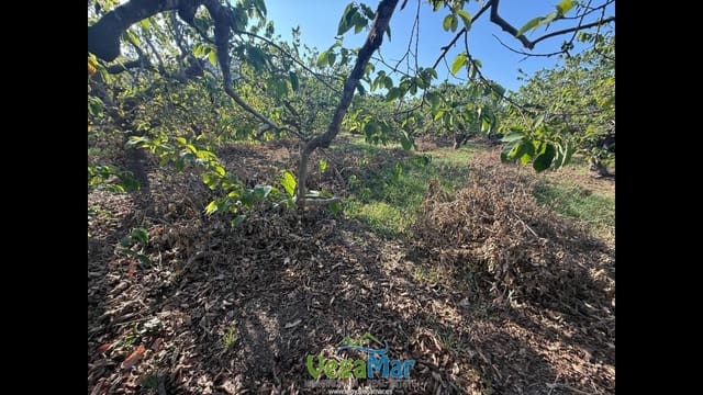 Ubebygd land til salgs i Almuñécar - € 105 000 (Ref: 9727015)