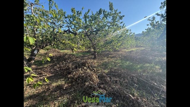 Ubebygd land til salgs i Almuñécar - € 105 000 (Ref: 9727015)