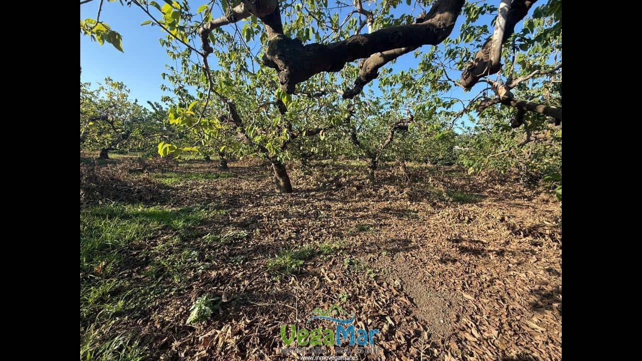 Ubebygd land til salgs i Almunecar - € 105 000 (Ref: 9727015)