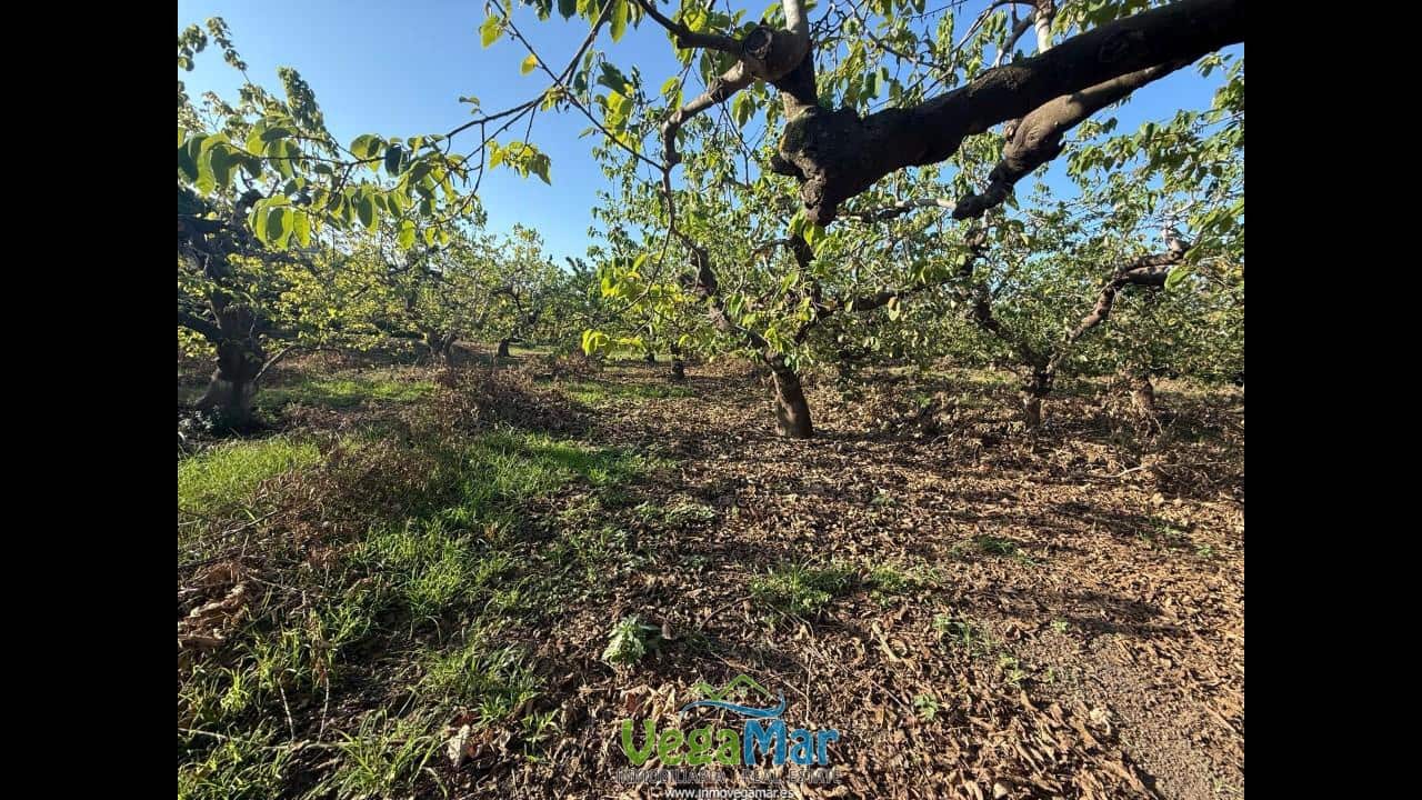 Ubebygd land til salgs i Almunecar - € 105 000 (Ref: 9727015)