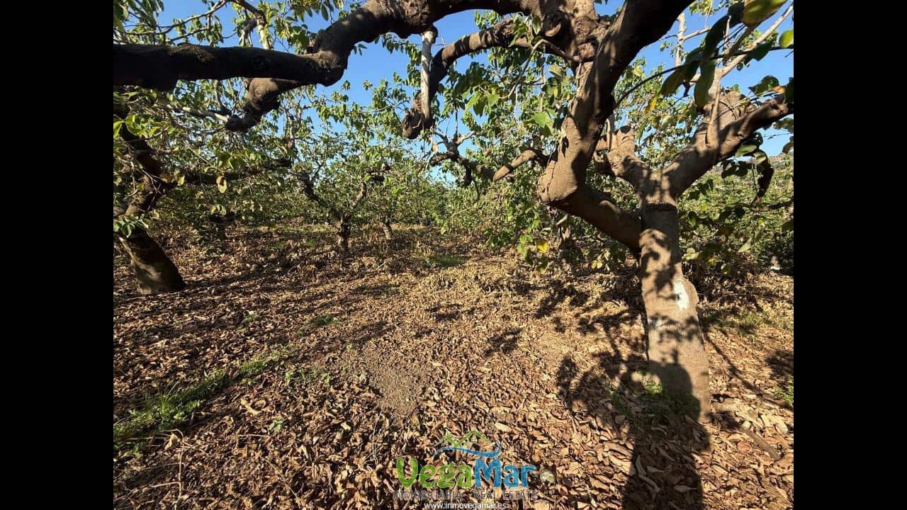 Ubebygd land til salgs i Almunecar - € 105 000 (Ref: 9727015)