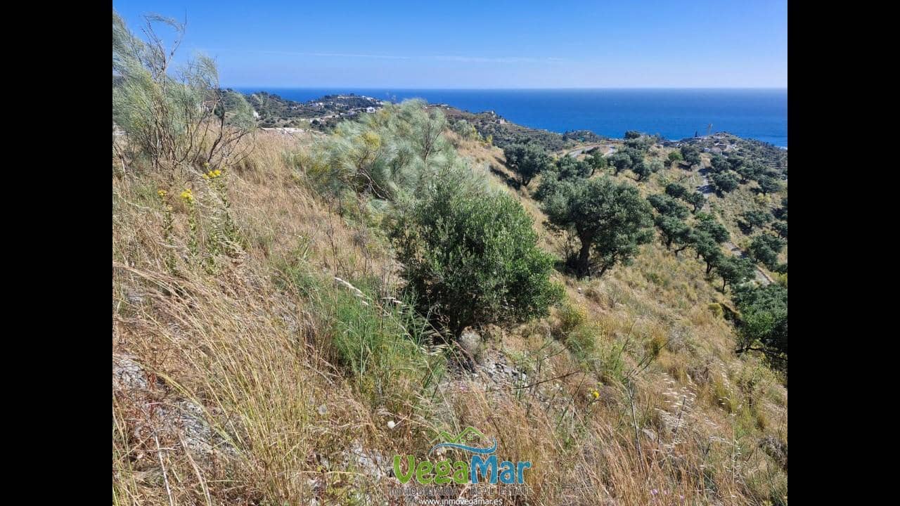 Ubebygd land til salgs i La Herradura - € 35 000 (Ref: 9830396)