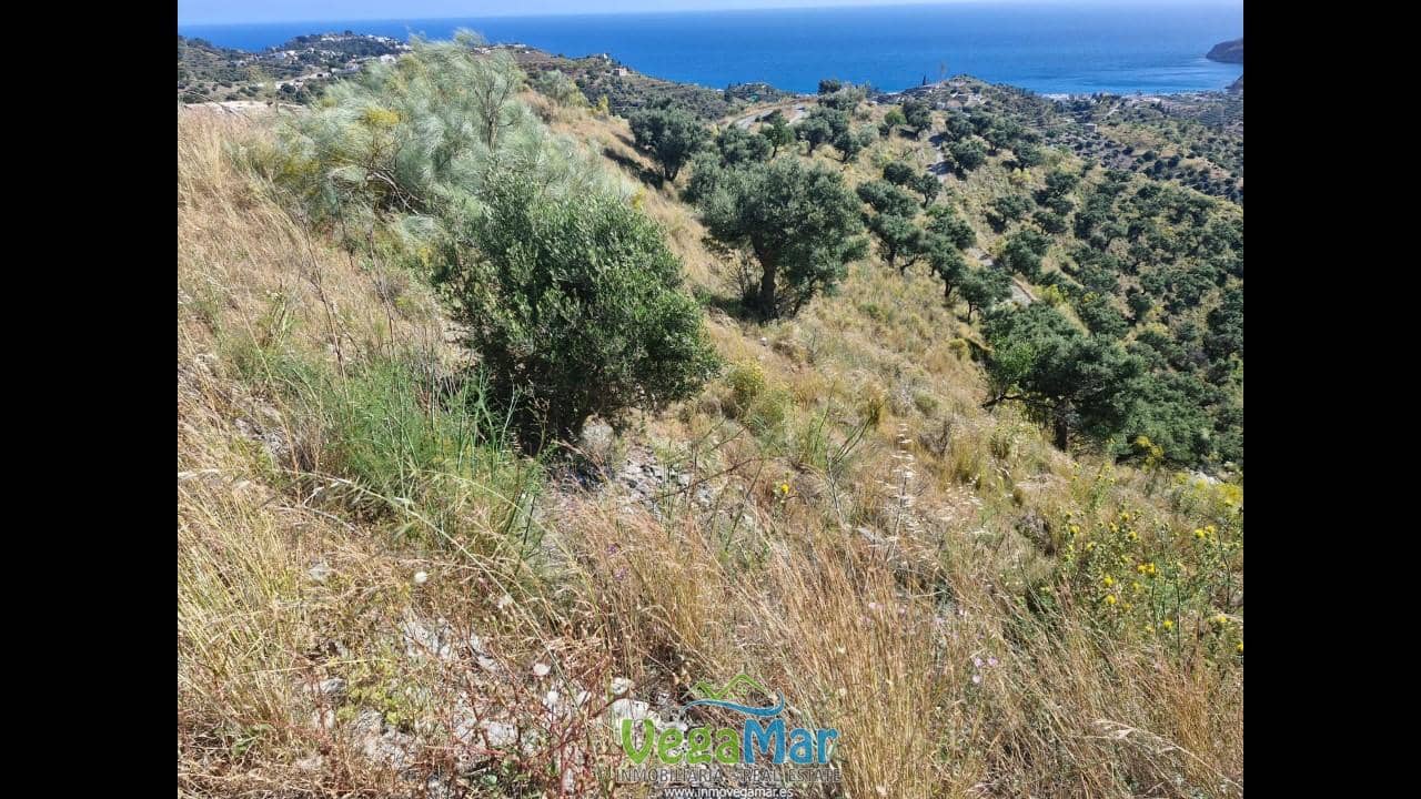 Ubebygd land til salgs i La Herradura - € 35 000 (Ref: 9830396)