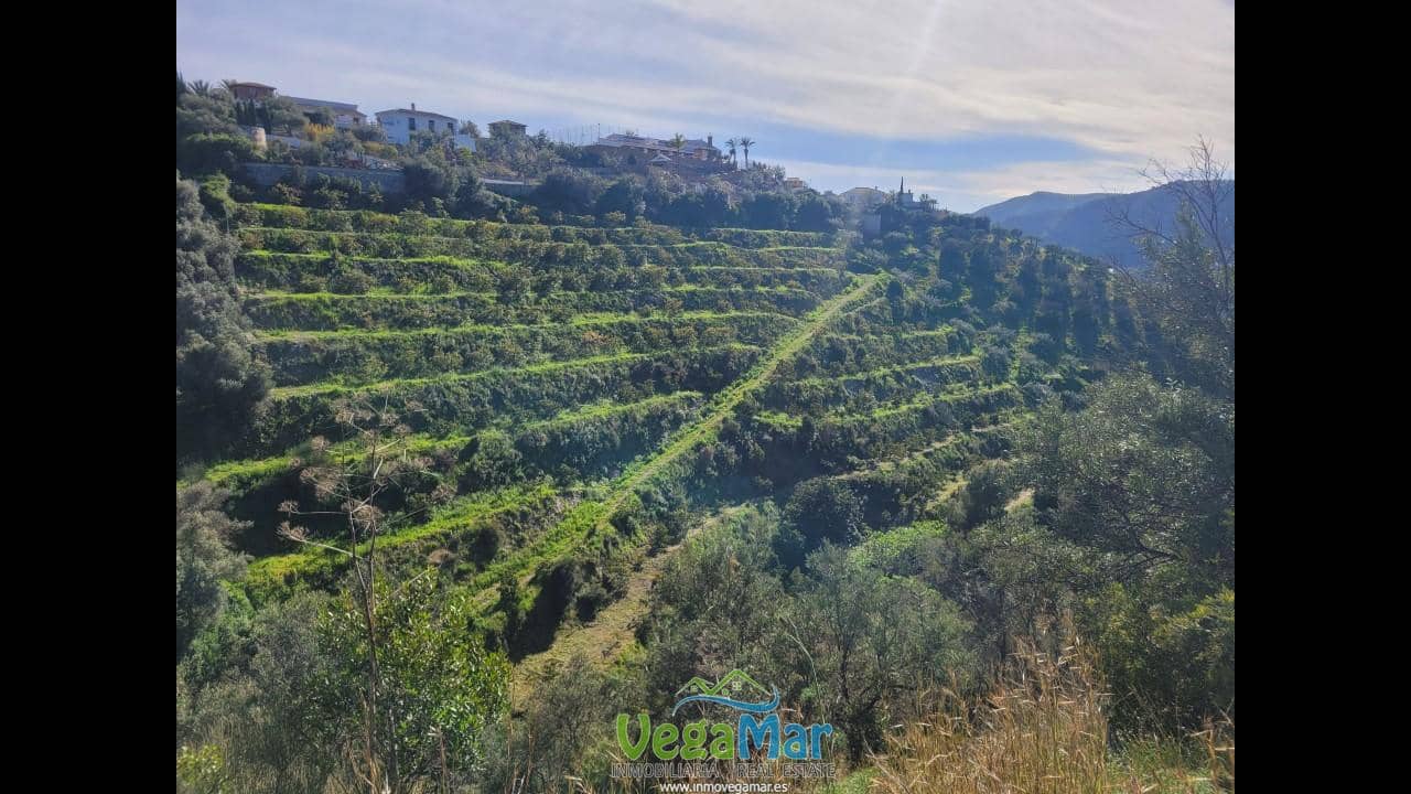 Terre non Aménagée à vendre à Jete - 100 000 € (Ref: 9937147)