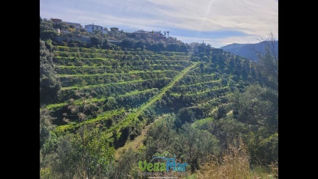 Terre non Aménagée à vendre à Jete - 100 000 € (Ref: 9937147)