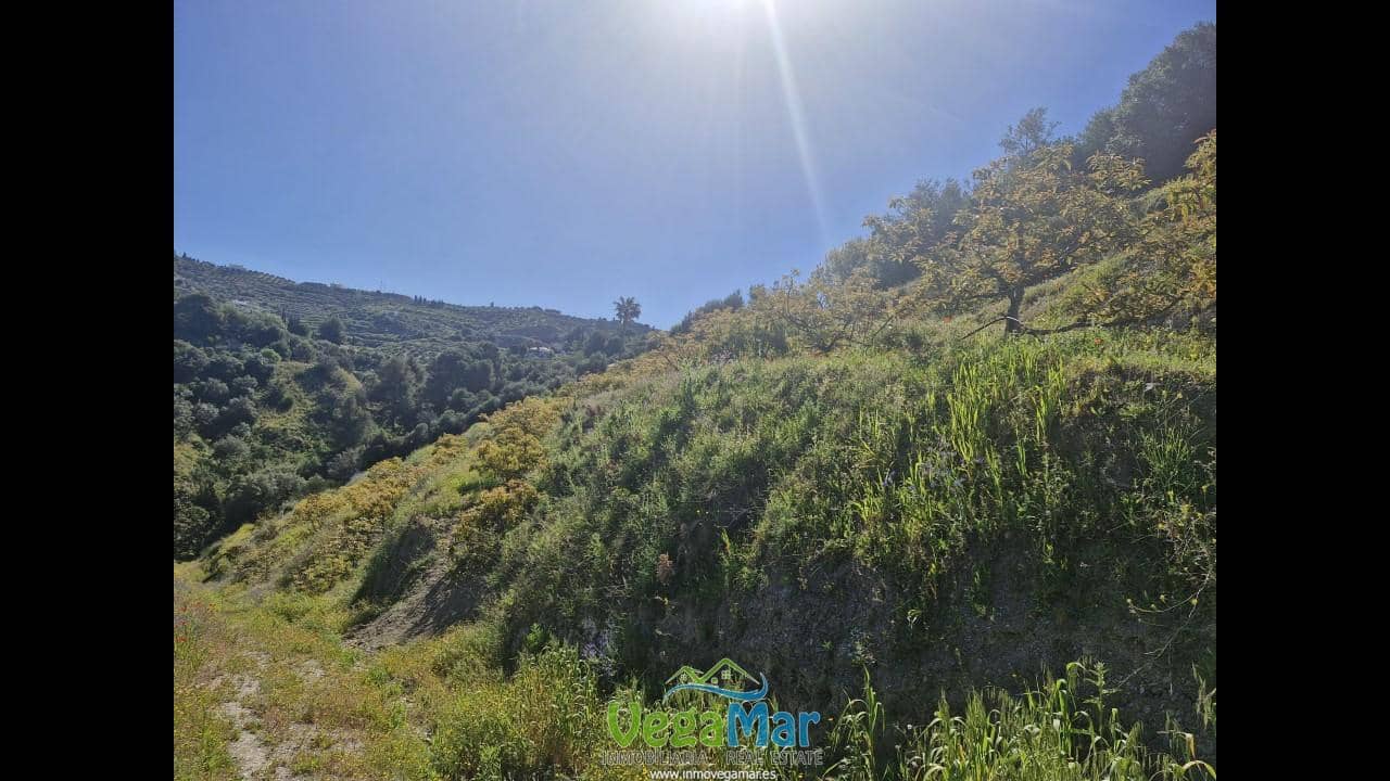 Terre non Aménagée à vendre à Jete - 100 000 € (Ref: 9937147)