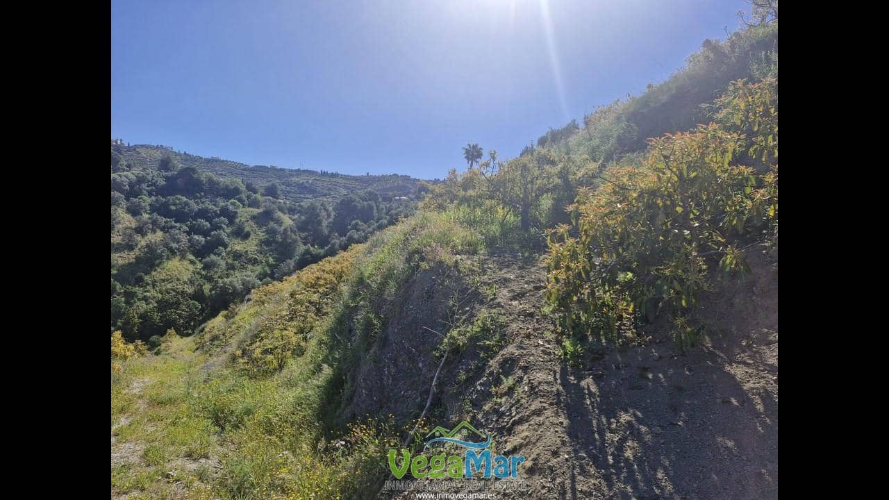 Terre non Aménagée à vendre à Jete - 100 000 € (Ref: 9937147)
