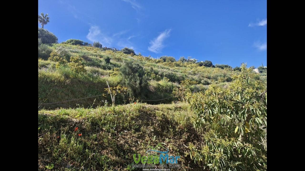 Terre non Aménagée à vendre à Jete - 100 000 € (Ref: 9937147)