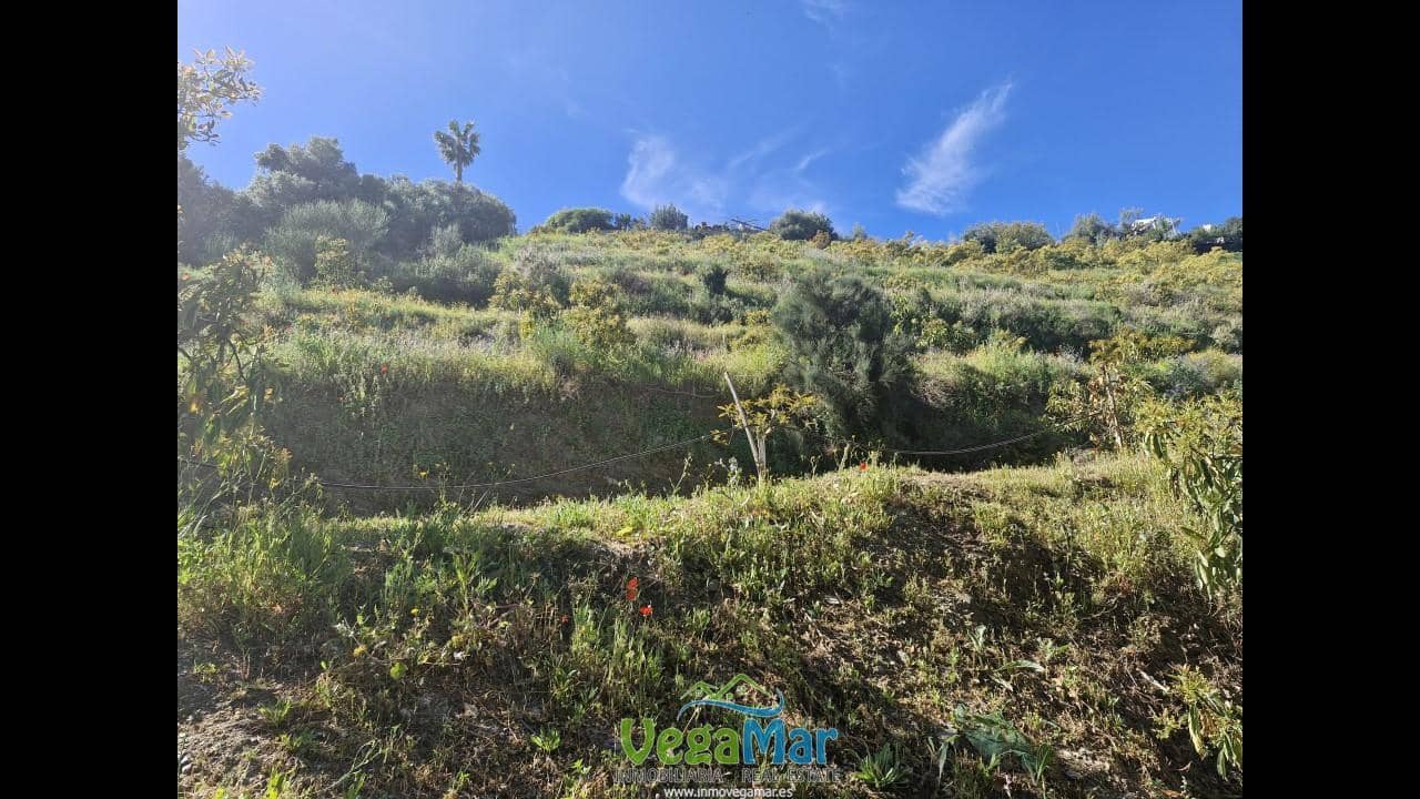 Terre non Aménagée à vendre à Jete - 100 000 € (Ref: 9937147)