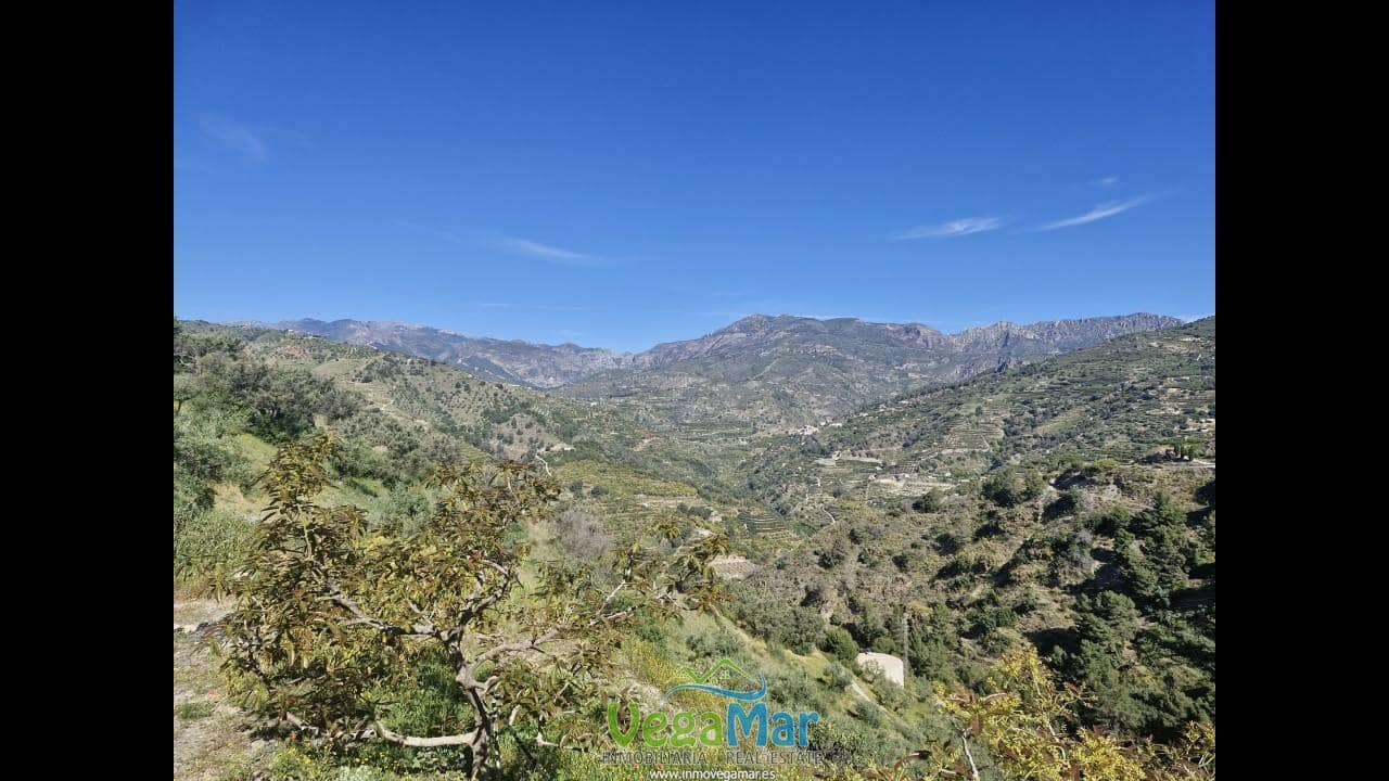 Terre non Aménagée à vendre à Jete - 100 000 € (Ref: 9937147)