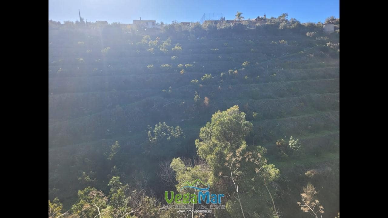 Terre non Aménagée à vendre à Jete - 100 000 € (Ref: 9937147)