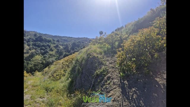 Terre non Aménagée à vendre à Jete - 100 000 € (Ref: 9937147)