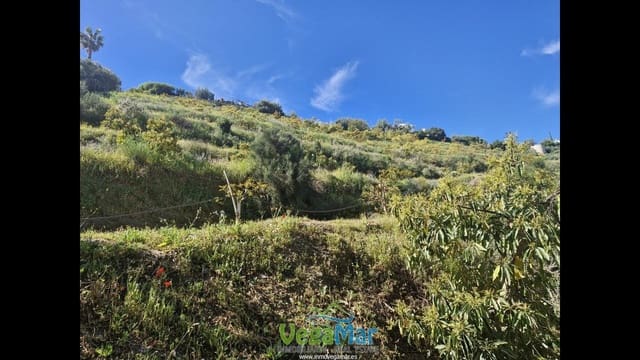 Terre non Aménagée à vendre à Jete - 100 000 € (Ref: 9937147)