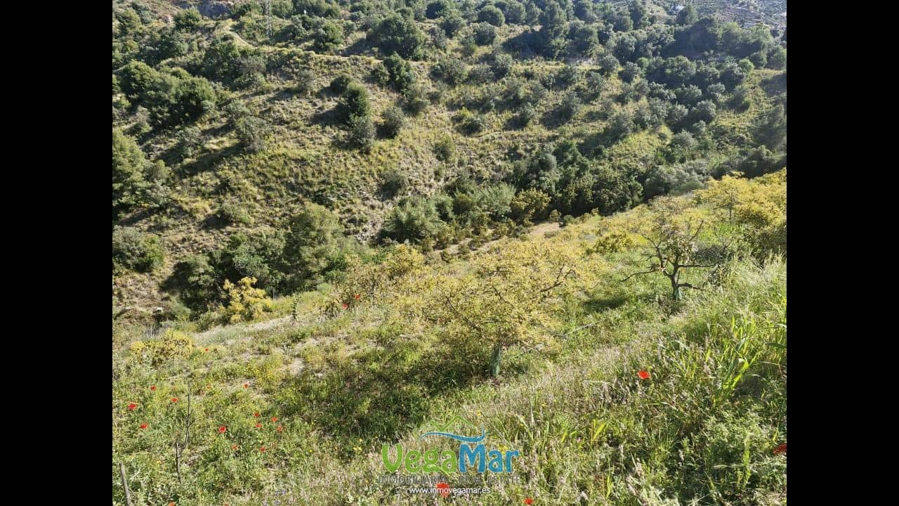 Terre non Aménagée à vendre à Jete - 100 000 € (Ref: 9937147)