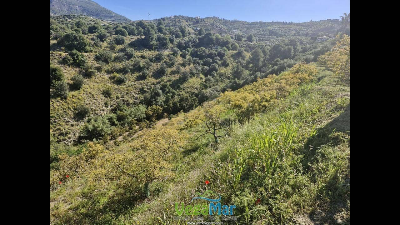 Terre non Aménagée à vendre à Jete - 100 000 € (Ref: 9937147)