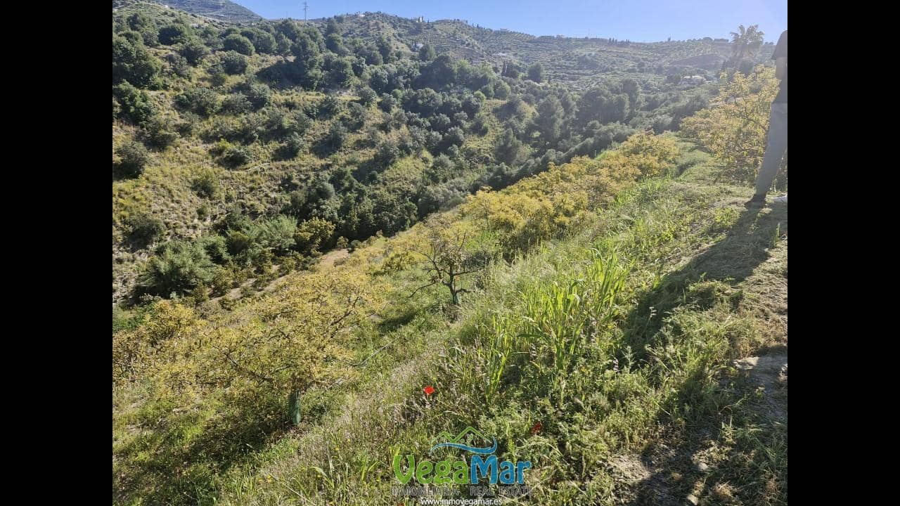 Terre non Aménagée à vendre à Jete - 100 000 € (Ref: 9937147)