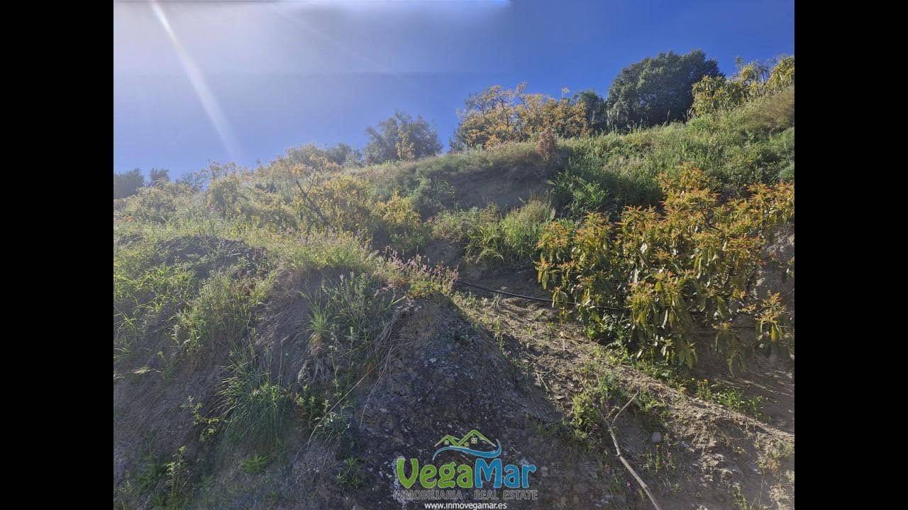 Terre non Aménagée à vendre à Jete - 100 000 € (Ref: 9937147)