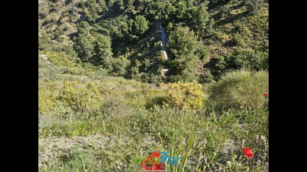 Terre non Aménagée à vendre à Jete - 100 000 € (Ref: 9937147)
