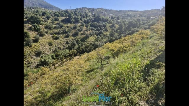 Terre non Aménagée à vendre à Jete - 100 000 € (Ref: 9937147)