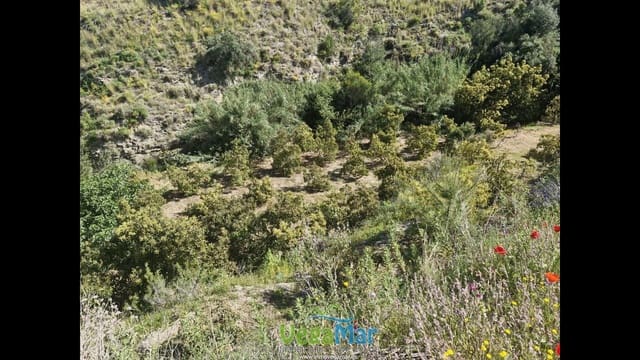Terre non Aménagée à vendre à Jete - 100 000 € (Ref: 9937147)