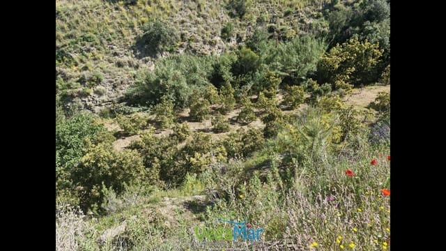 Terre non Aménagée à vendre à Jete - 100 000 € (Ref: 9937147)