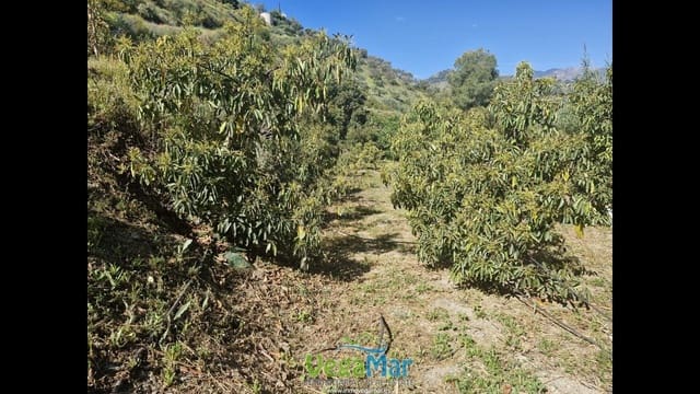 Terre non Aménagée à vendre à Jete - 100 000 € (Ref: 9937147)