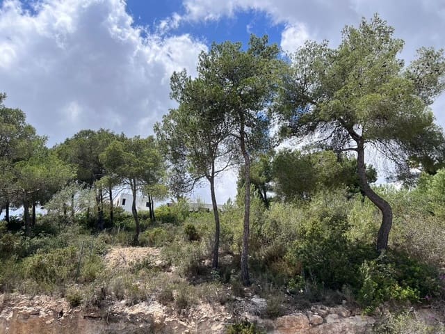 Grunde uden byggetilladelser til salg i Can Furnet, Santa Eulalia / Santa Eularia - € 1.675.000 (Ref: 8338302)