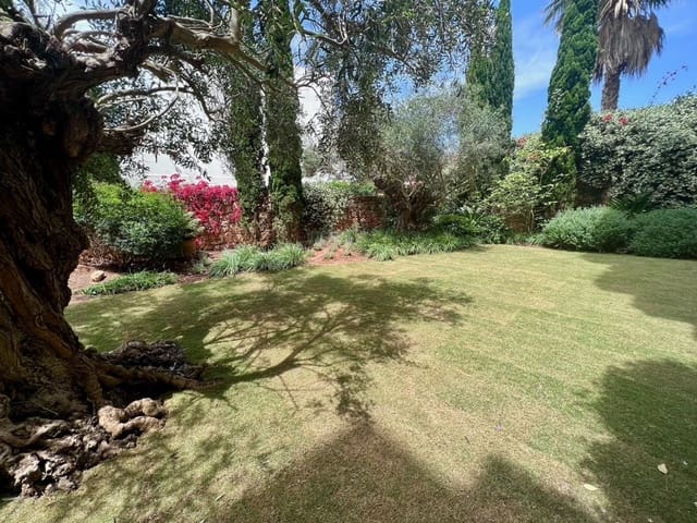 2 bedroom Apartment for rent in Roca Llisa, Santa Eulalia / Santa Eularia with pool garage - € 3,000 (Ref: 8480327)