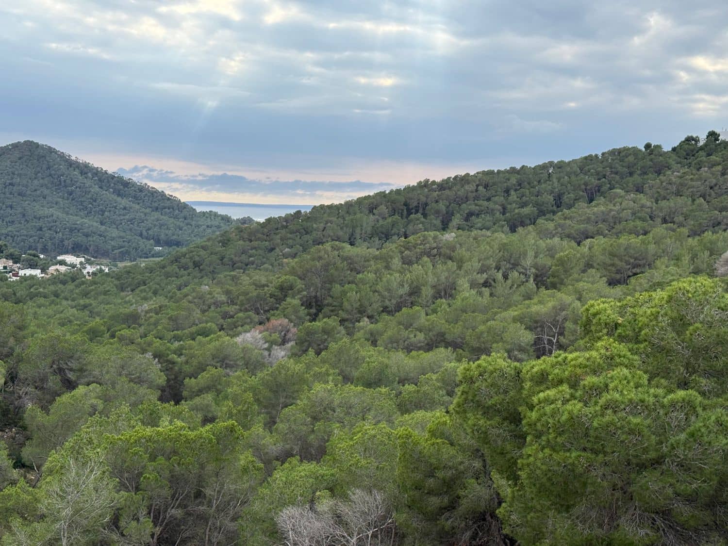 2 quarto Apartamento para venda em Santa Eulalia / Santa Eularia com piscina garagem - 730 000 € (Ref: 9455711)