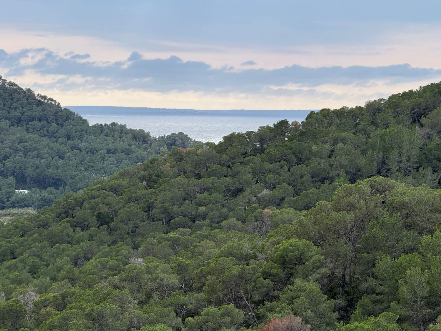 2 quarto Apartamento para venda em Santa Eulalia / Santa Eularia com piscina garagem - 730 000 € (Ref: 9455711)