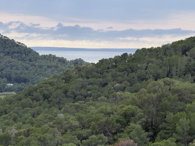 Penthouse te koop in Valverde, Santa Eulalia / Santa Eularia met zwembad - € 750.000 (Ref: 9793272)