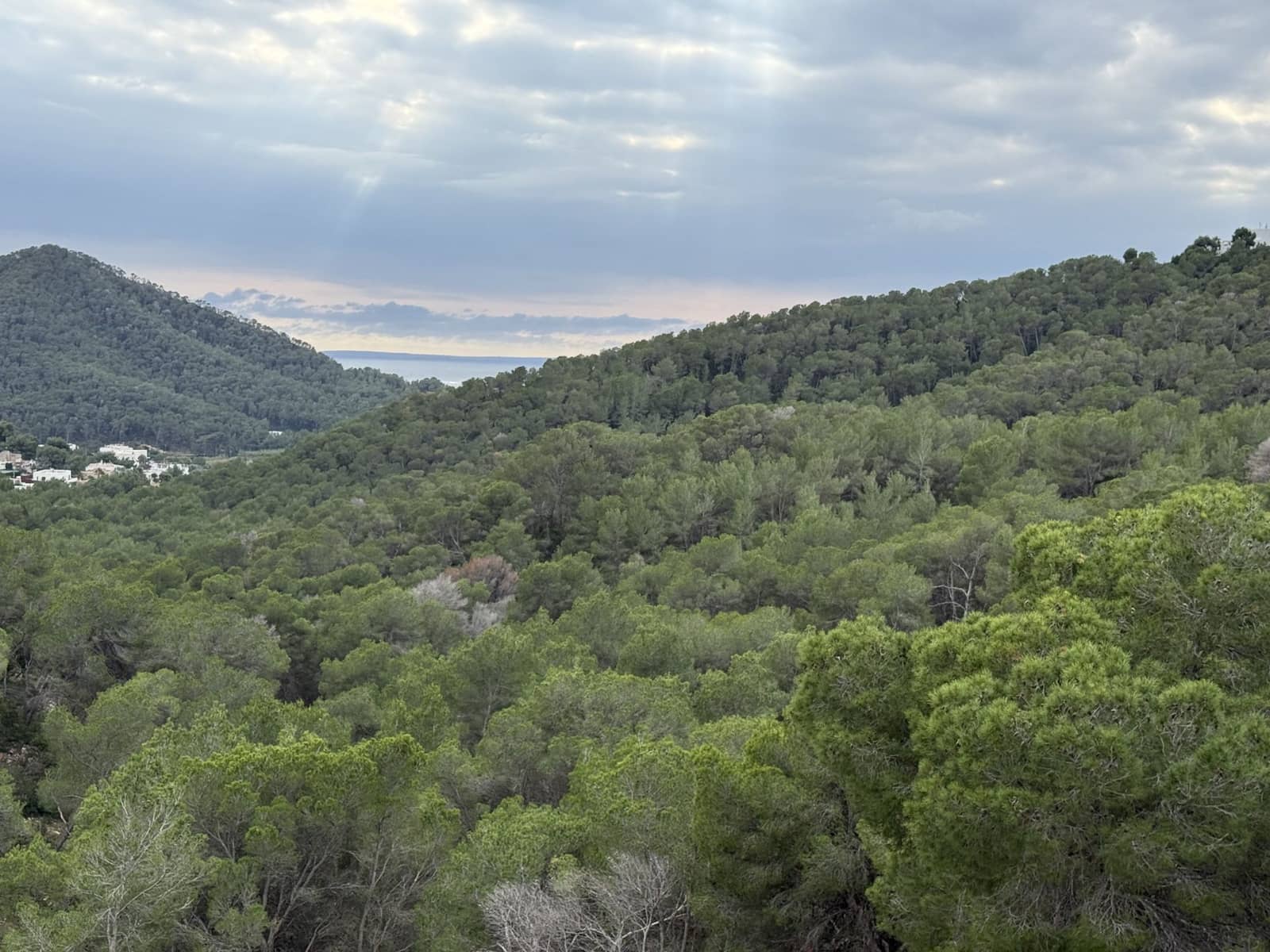 Penthouse te koop in Valverde met zwembad - € 750.000 (Ref: 9793272)