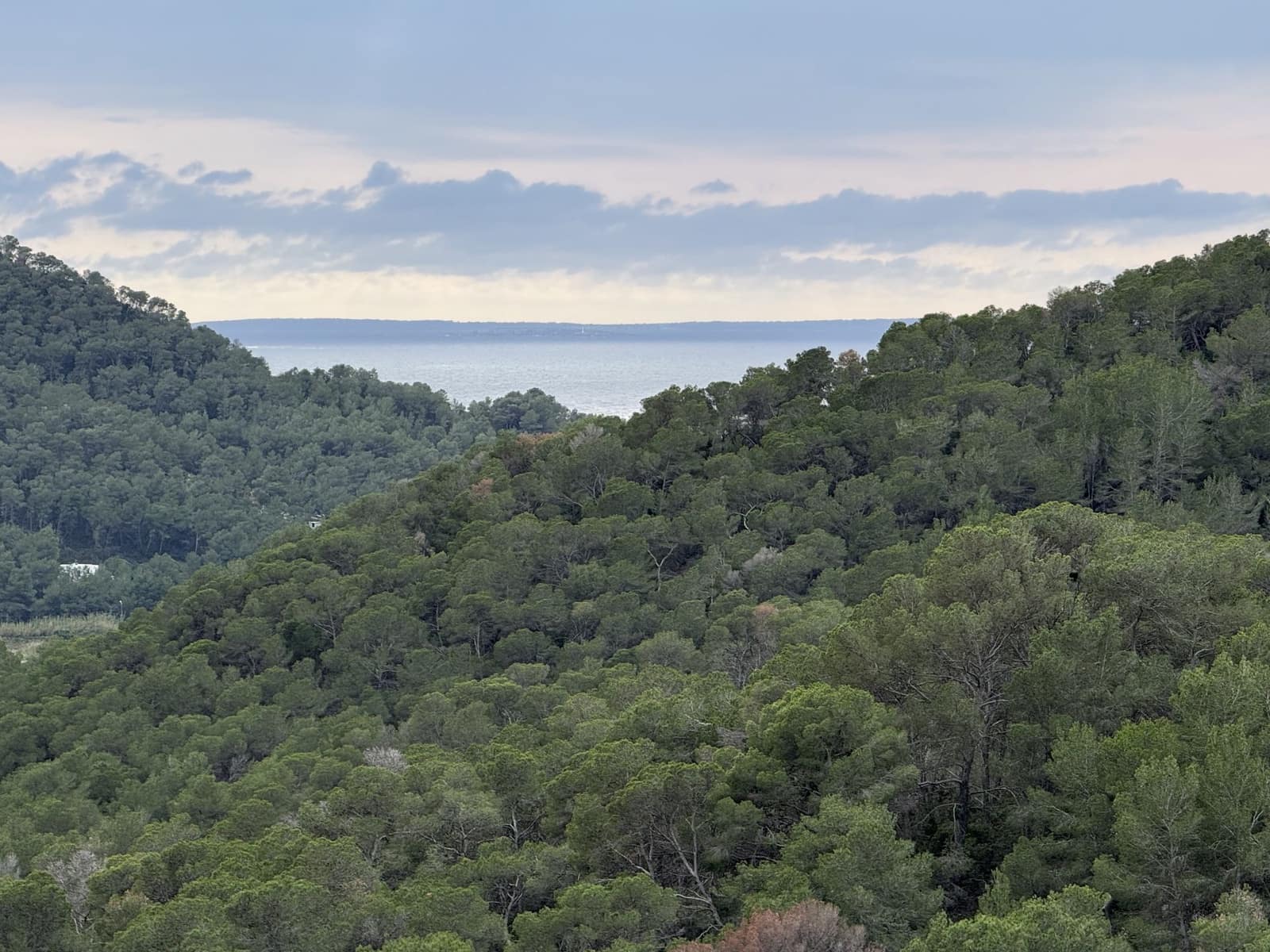 Penthouse te koop in Valverde met zwembad - € 750.000 (Ref: 9793272)