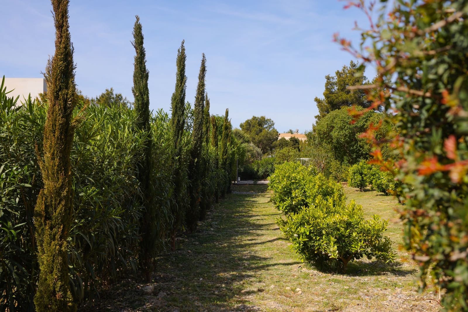 6 Zimmer Finca/Landgut zu verkaufen in Sant Jordi de Ses Salines mit Pool Garage - 4.690.000 € (Ref: 9895361)