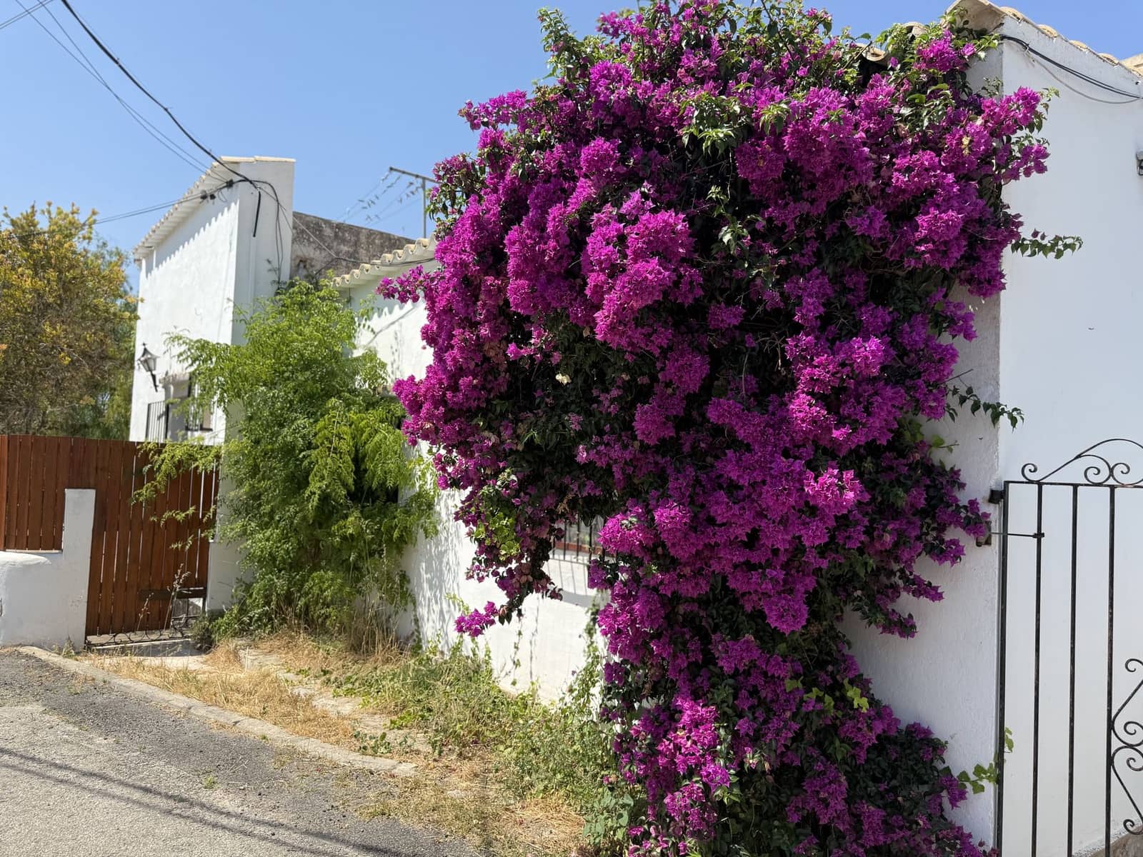 4 bedroom Finca/Country House for sale in Nuestra Senora de Jesus with garage - € 1,500,000 (Ref: 9935291)
