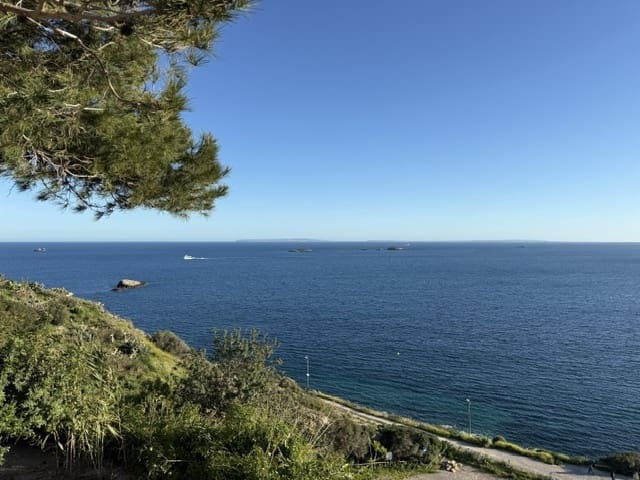 7 slaapkamer Finca/Landhuis te koop in Ibiza dorp - € 12.000.000 (Ref: 9996363)