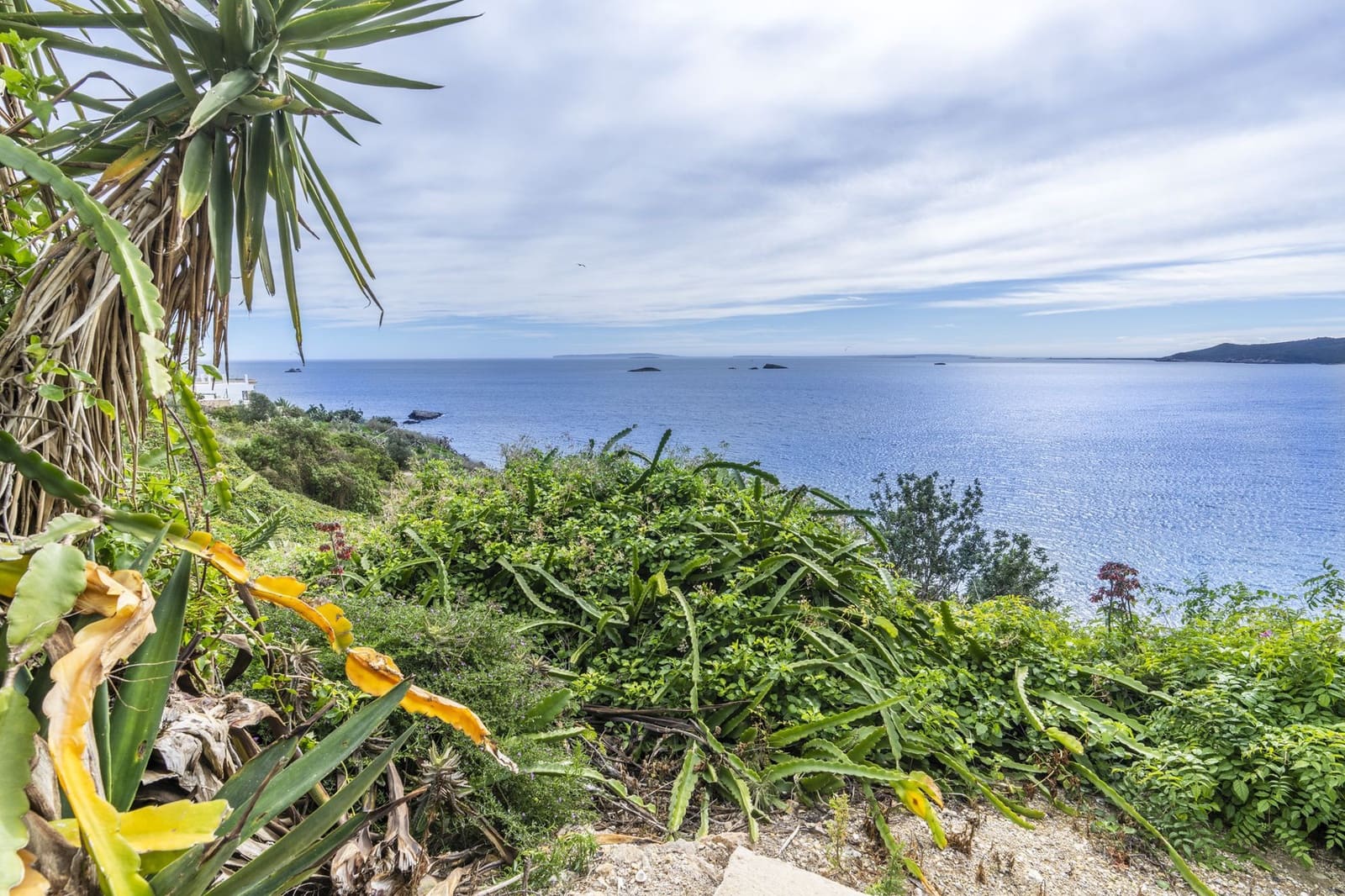7 slaapkamer Finca/Landhuis te koop in Ibiza dorp - € 12.000.000 (Ref: 9996363)
