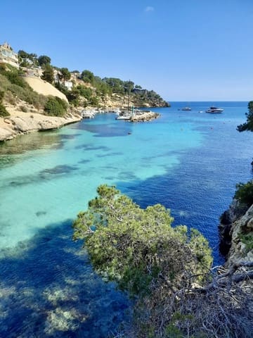 Undeveloped Land for sale in Portals Vells, Calvià - € 5,350,000 (Ref: 9412864)