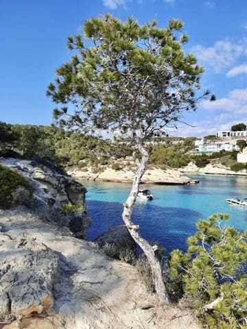 Undeveloped Land for sale in Portals Vells, Calvià - € 5,350,000 (Ref: 9412864)