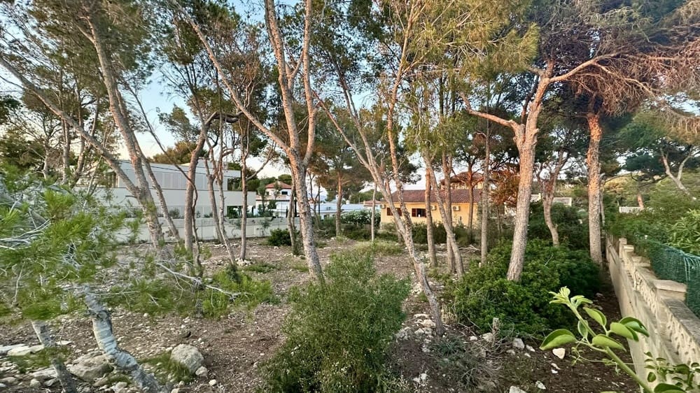 Grunde uden byggetilladelser til salg i El Toro / Port Adriano - € 1.500.000 (Ref: 9874117)