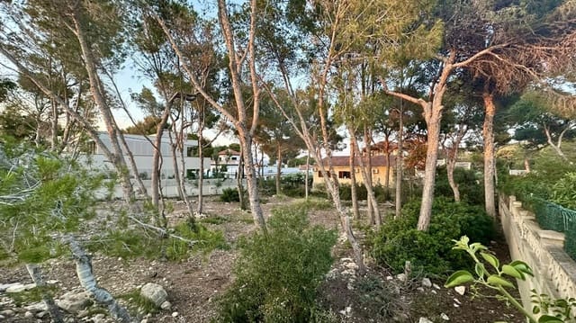 Terreno Non Edificato in vendita in El Toro / Port Adriano, Calvià - 1.500.000 € (Rif: 9874117)