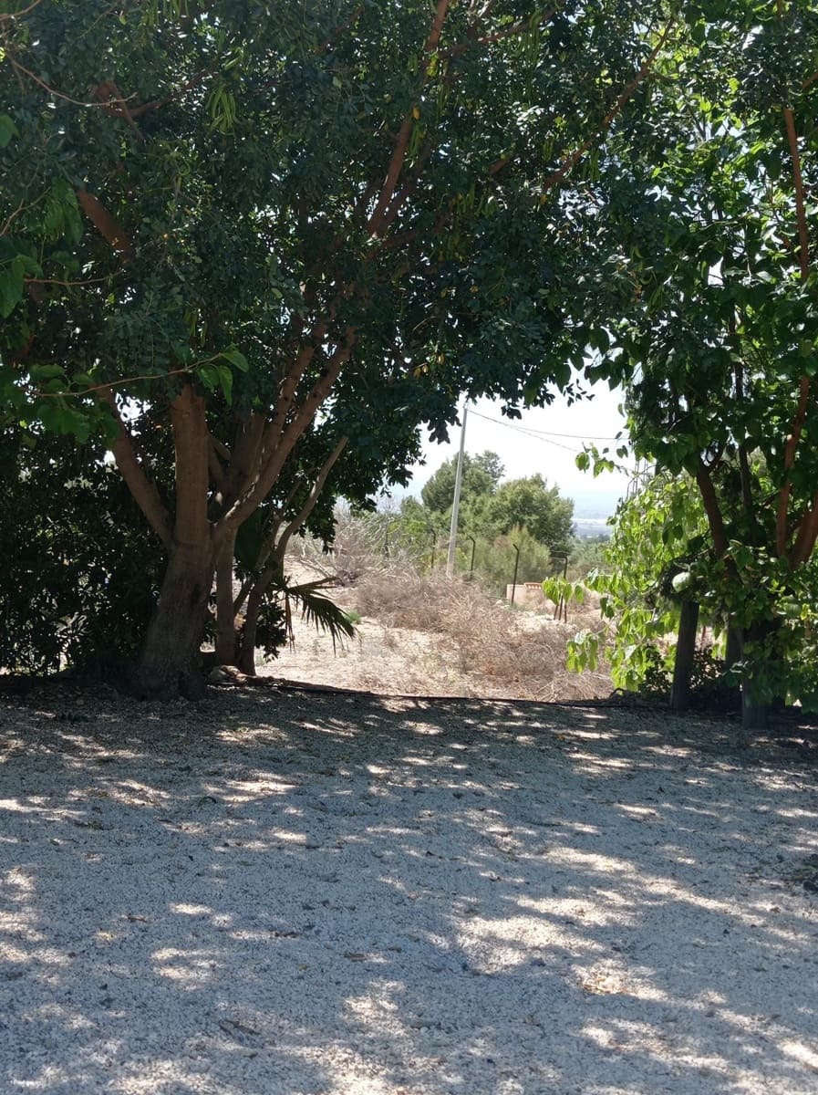 4 camera da letto Villa da affittare in Crevillente / Crevillent con piscina garage - 1.700 € (Rif: 10145761)