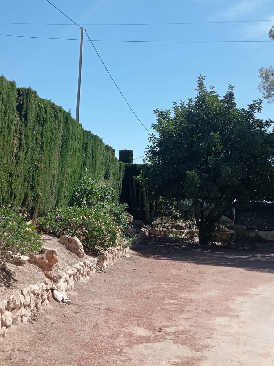 4 camera da letto Villa da affittare in Crevillente / Crevillent con piscina garage - 1.700 € (Rif: 10145761)