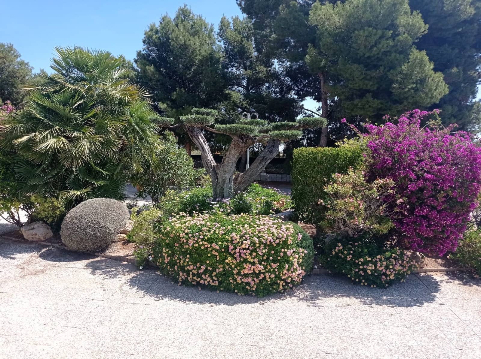 4 camera da letto Villa da affittare in Crevillente / Crevillent con piscina garage - 1.700 € (Rif: 10145761)