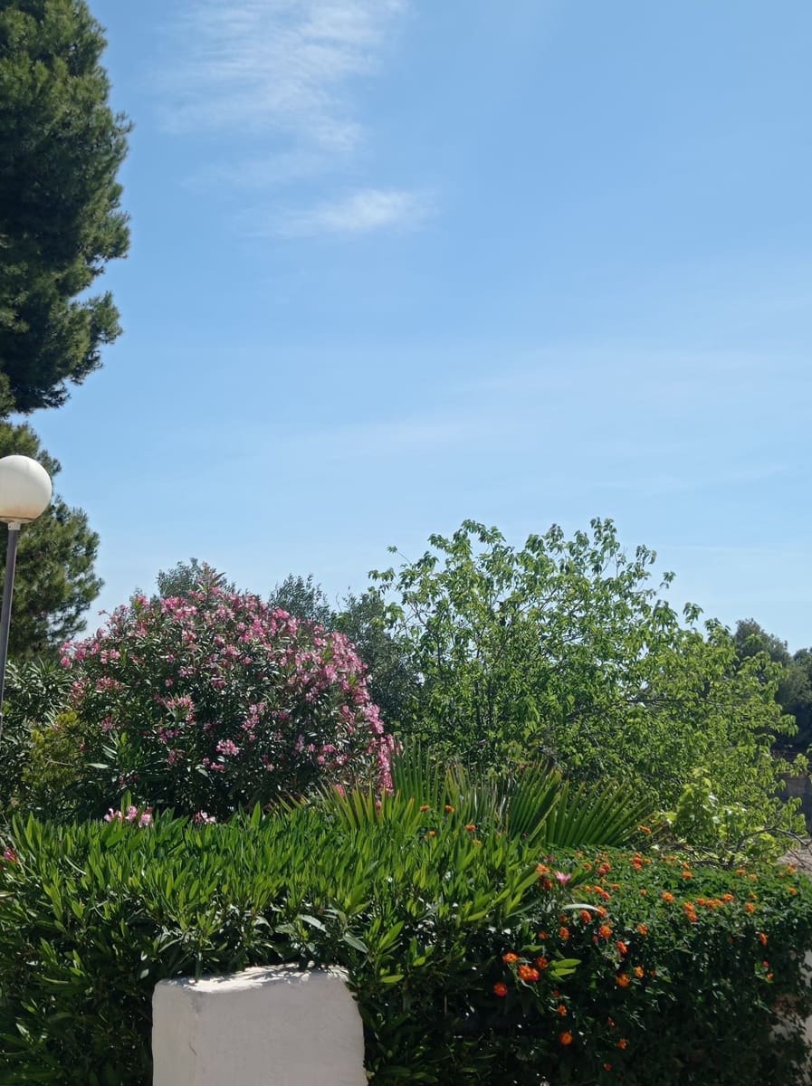 3 Zimmer Villa zu vermieten in Crevillente / Crevillent mit Garage - 1.600 € (Ref: 7634521)