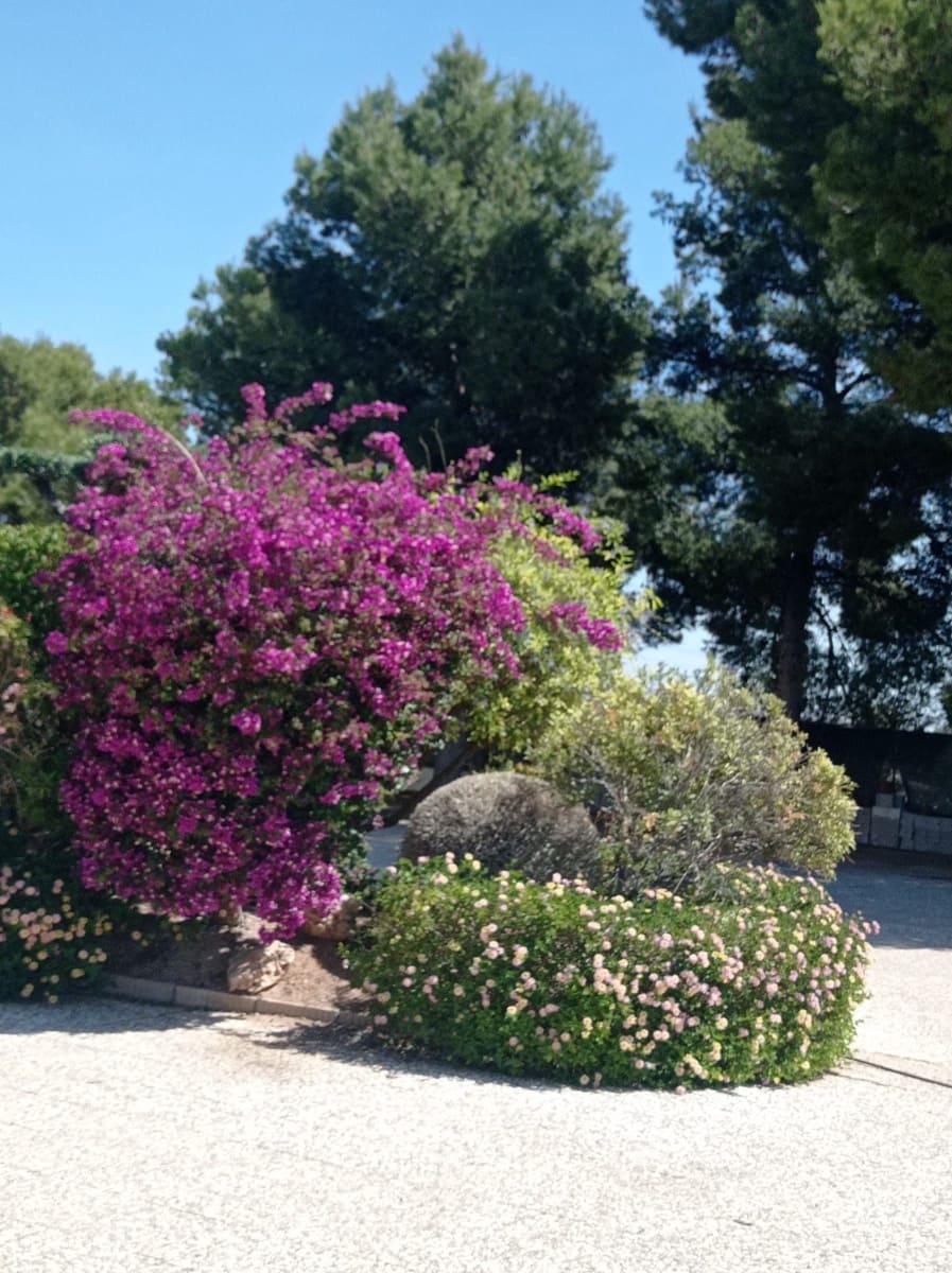 3 Zimmer Villa zu vermieten in Crevillente / Crevillent mit Garage - 1.600 € (Ref: 7634521)