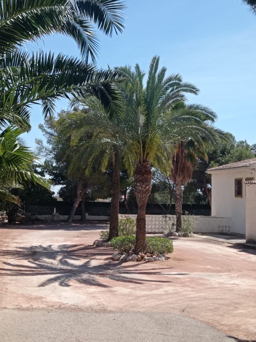 3 Zimmer Villa zu vermieten in Crevillente / Crevillent mit Garage - 1.600 € (Ref: 7634521)