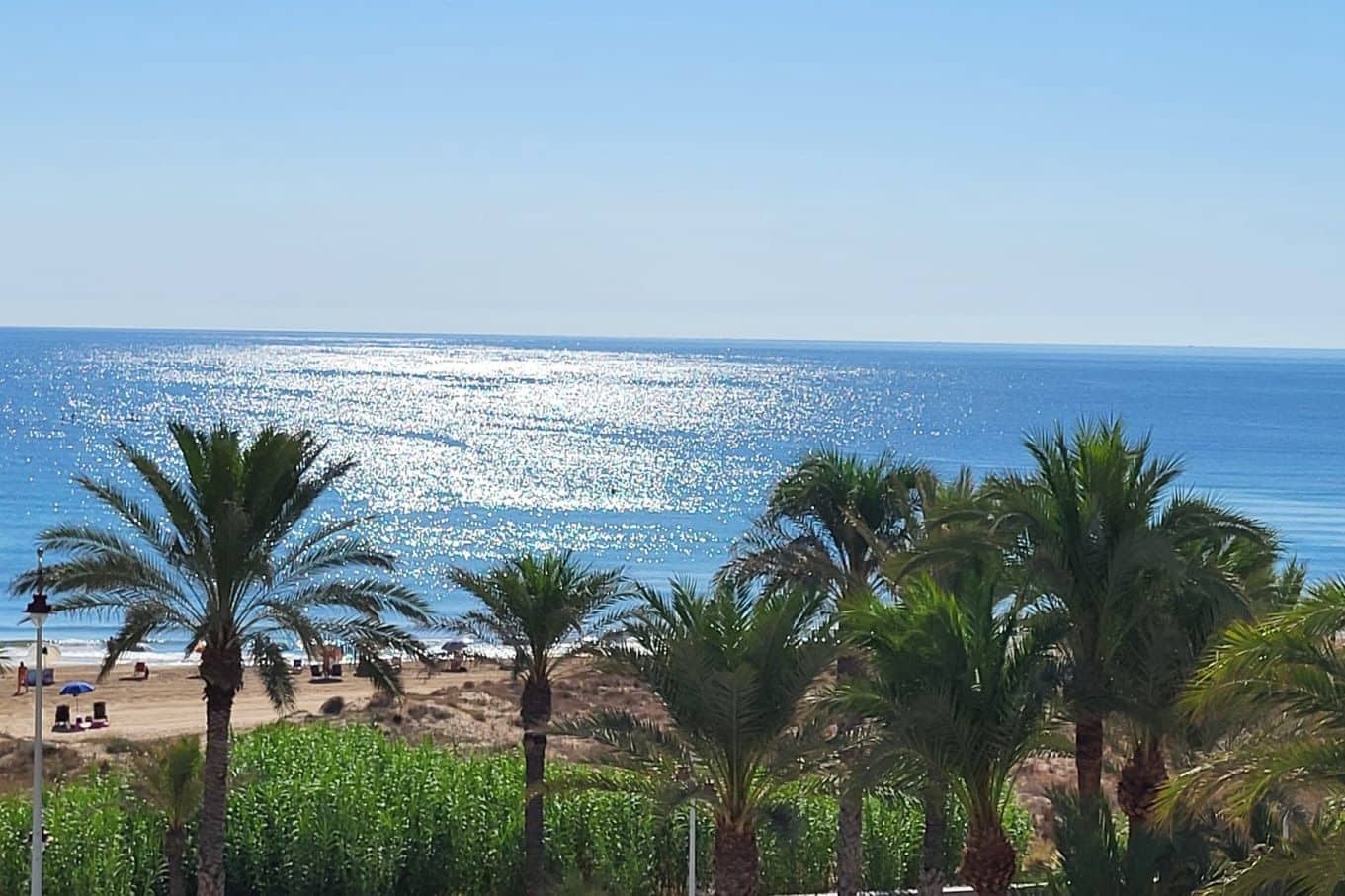 2 bedroom Apartment for rent in Arenales del Sol with pool garage - € 700 (Ref: 7739544)