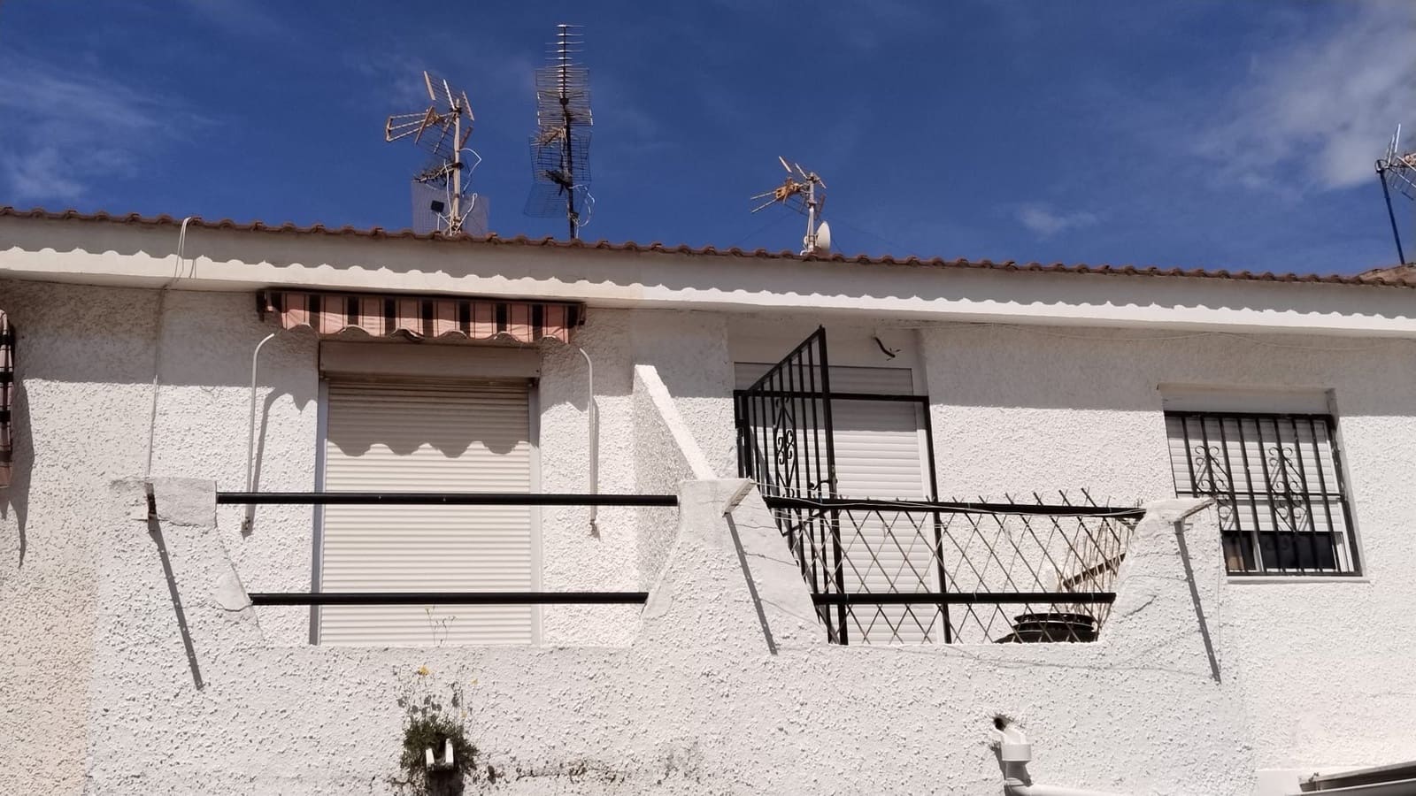 2 sypialnia Apartament do wynajęcia w Torrevieja - 700 € (Ref: 8938395)